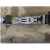 Image 7 : Skis, Poles & Carry Bag