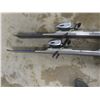 Image 8 : Skis, Poles & Carry Bag