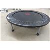 Image 2 : Personal Trampoline