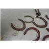 Image 5 : Horseshoes and Railway Spikes