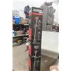 Image 2 : New Echo SRM-225 Gas-Powered Weed Eater