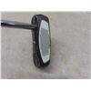 Image 15 : White Smoke Big Fontana Putter, Electric Putting Partner, Stag ShagBag Travel Cover, Balls, and