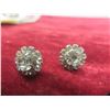 Image 7 : Fashion Earrings – Qty 10 Pairs