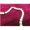 Image 8 : Necklaces – Coral, Bone, Black Iridescent and Green Beads, Shell Necklaces w/ Matching Earrings