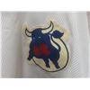 Image 2 : Birmingham Bulls Jersey
