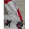 Image 3 : Birmingham Bulls Jersey