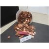 Image 1 : 22 Pounds Canadian and USA Pennies