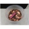 Image 4 : 22 Pounds Canadian and USA Pennies