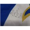 Image 3 : Large City of Winnipeg Flag