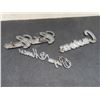 Image 5 : Auto Emblems — Plastic and Chrome — Custom, Cutlass Cruiser, Pontiac, and More