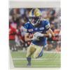 Image 3 : Framed Winnipeg Blue Bombers Autographed Picture — 13×17