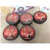 Image 5 : Winnipeg Jets Novelty Plate, 4 Hockey Stick Blades, Jets Lanyards, Mini Hockey Stick, and More