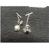 Image 6 : Commemorative RBC 2021 Medallion, 2 Tie Pins, Pendant with Matching Earrings