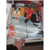 Image 12 : Winnipeg Jets Wall Plaque 11", Jagr and Gretzky Posters, Winnipeg Blue Bombers Pins and More
