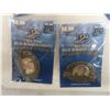Image 7 : Winnipeg Jets Wall Plaque 11", Jagr and Gretzky Posters, Winnipeg Blue Bombers Pins and More