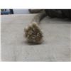 Image 4 : 1" Kinect Rope