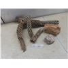 Image 1 : Desert Cholla Cactus Wood and 2 Quartz Rocks