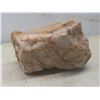 Image 6 : Desert Cholla Cactus Wood and 2 Quartz Rocks