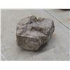 Image 7 : Desert Cholla Cactus Wood and 2 Quartz Rocks