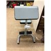 Image 4 : Iron Man Exercise Weight Bench