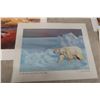Image 11 : 12 Clarence Tilenius Wildlife Prints (16.5" L x 13.25" W)
