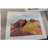 Image 12 : 12 Clarence Tilenius Wildlife Prints (16.5" L x 13.25" W)