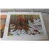Image 14 : 12 Clarence Tilenius Wildlife Prints (16.5" L x 13.25" W)