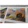 Image 15 : 12 Clarence Tilenius Wildlife Prints (16.5" L x 13.25" W)
