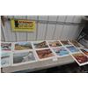 Image 1 : 12 Clarence Tilenius Wildlife Prints (16.5" L x 13.25" W)