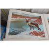 Image 2 : 12 Clarence Tilenius Wildlife Prints (16.5" L x 13.25" W)