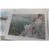 Image 4 : 12 Clarence Tilenius Wildlife Prints (16.5" L x 13.25" W)