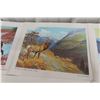 Image 5 : 12 Clarence Tilenius Wildlife Prints (16.5" L x 13.25" W)