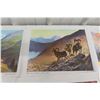 Image 6 : 12 Clarence Tilenius Wildlife Prints (16.5" L x 13.25" W)