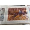 Image 7 : 12 Clarence Tilenius Wildlife Prints (16.5" L x 13.25" W)