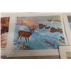 Image 8 : 12 Clarence Tilenius Wildlife Prints (16.5" L x 13.25" W)