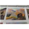 Image 9 : 12 Clarence Tilenius Wildlife Prints (16.5" L x 13.25" W)