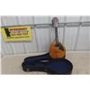 Image 1 : Mandolin w/ Case