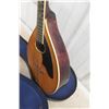 Image 4 : Mandolin w/ Case