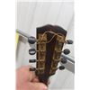 Image 7 : Mandolin w/ Case