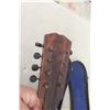 Image 8 : Mandolin w/ Case