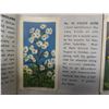 Image 8 : Five Red Rose Brooke Bond Tea Card Albums — All Complete with Cards