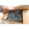 Image 6 : Joist Brackets, Lag Bolts, Carriage Bolts