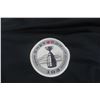 Image 3 : Vintage US Air Force Jacket (Large) and Winnipeg Grey Cup 2015 Reebok Jacket (2XL)