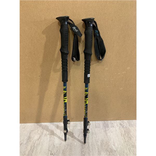 Set of 2 Pioneer Trekking Poles