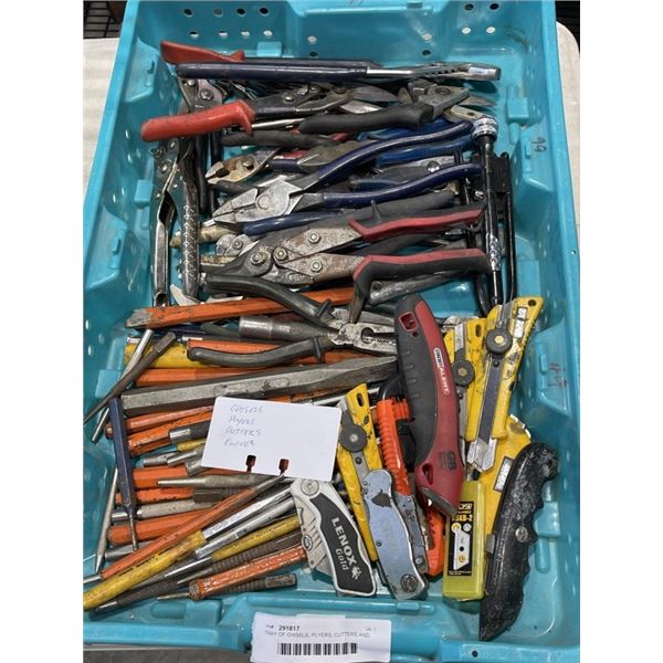 TRAY OF CHISELS, PLYERS, CUTTERS AND KNIVES