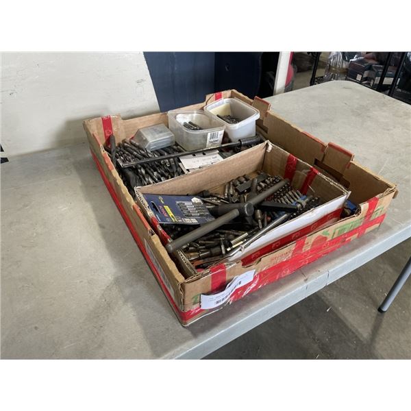 LARGE LOT OF DRILL BITS AND DRIVER BITS