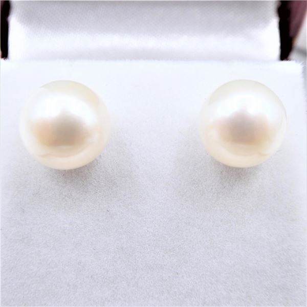 14KT YELLOW GOLD FRESHWATER PEARL 8X8MM EARRINGS, W/A $875.00.