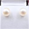 Image 1 : 14KT YELLOW GOLD FRESHWATER PEARL 8X8MM EARRINGS, W/A $875.00.