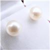 Image 3 : 14KT YELLOW GOLD FRESHWATER PEARL 8X8MM EARRINGS, W/A $875.00.