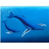 Image 2 : Original Painting on Canvas Mother Whale & Calf by James H. O'Neill, 1983, 39" x 28" Framed